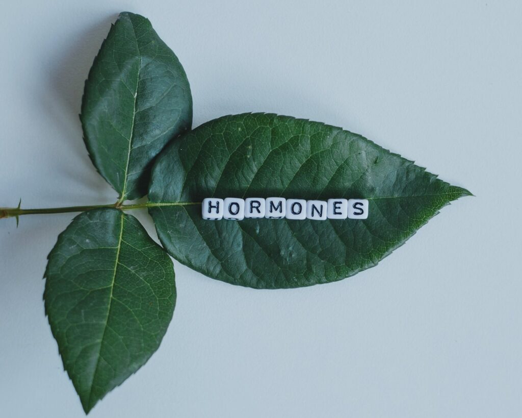 5.jpg | She Matters Health | She Matters Health
